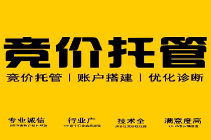 SEM主管案例分析：提升转化率实战